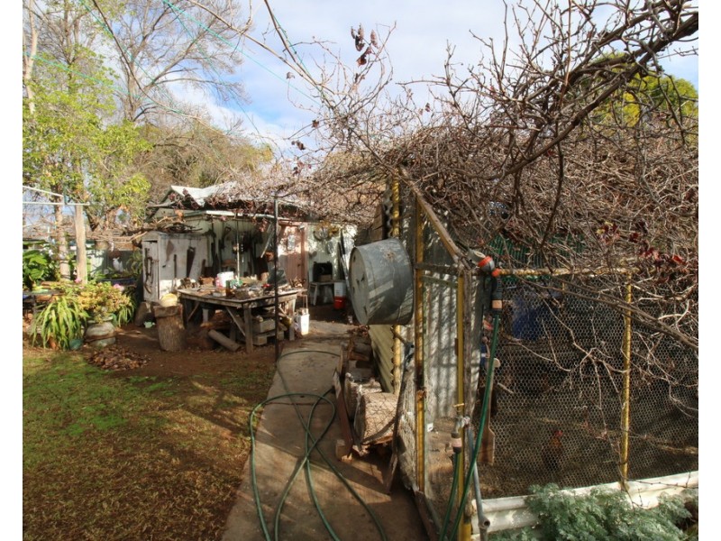 39 Gilbert Street, Berri SA 5343