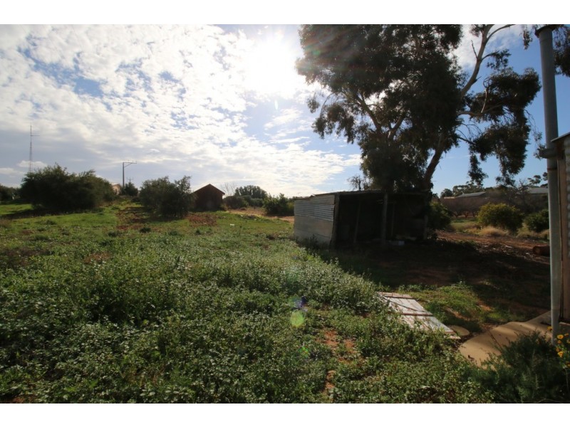 41 Jarvis Street, Berri SA 5343