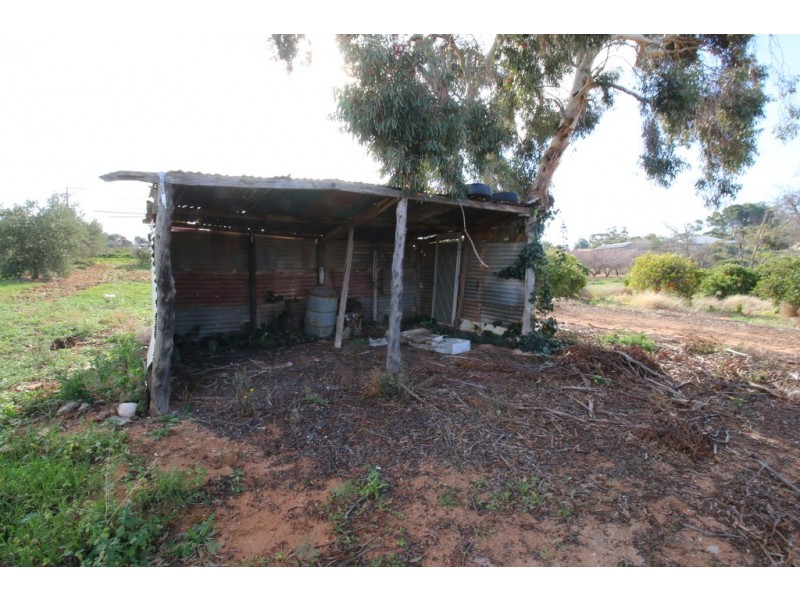 41 Jarvis Street, Berri SA 5343