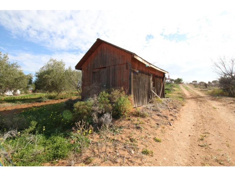 41 Jarvis Street, Berri SA 5343