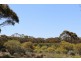 Lot 10 Winter Road, Bower SA 5374