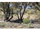 Lot 10 Winter Road, Bower SA 5374
