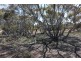 Lot 10 Winter Road, Bower SA 5374