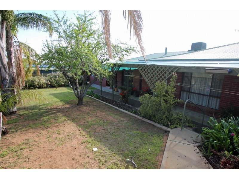 8 Middleton Avenue, Paringa SA 5340