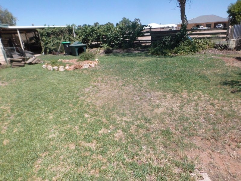 8 Barrington Street, Renmark SA 5341