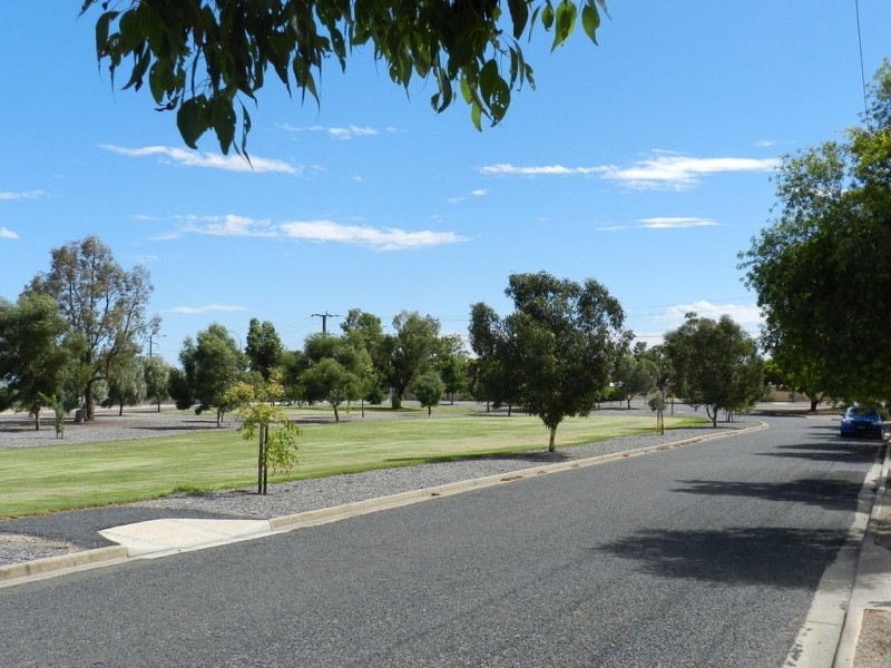 3 Minocks Street, Berri SA 5343