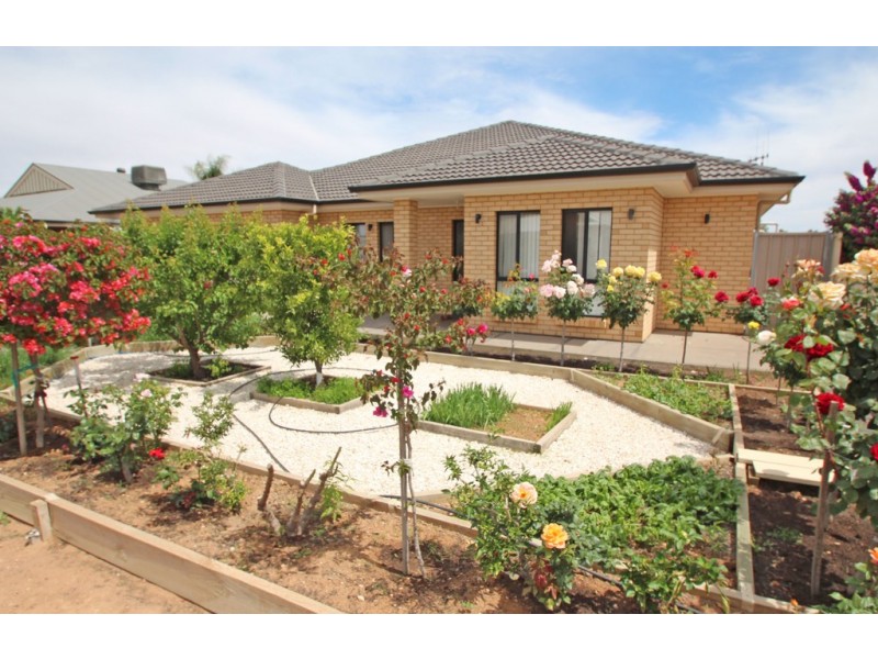 245 Twenty First Street, Renmark SA 5341