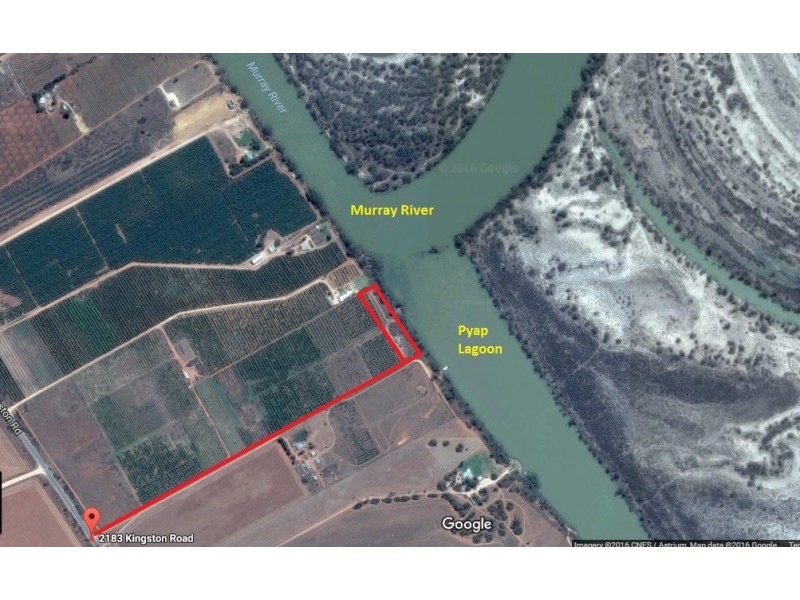 Lot 1, 2183 Kingston Road, Loxton SA 5333 Floorplan