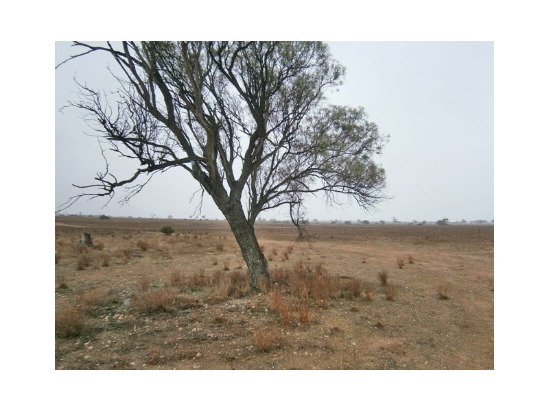 97 Sturt Highway, Blanchetown SA 5357