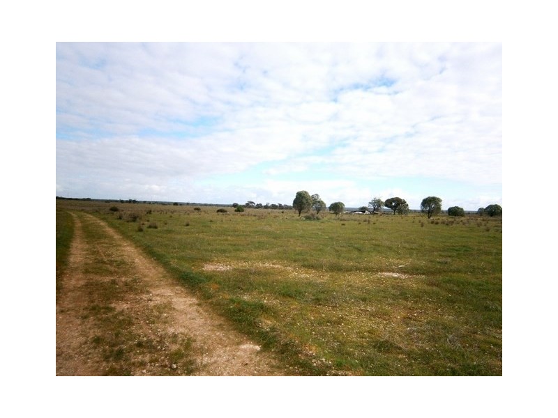 97 Sturt Highway, Blanchetown SA 5357