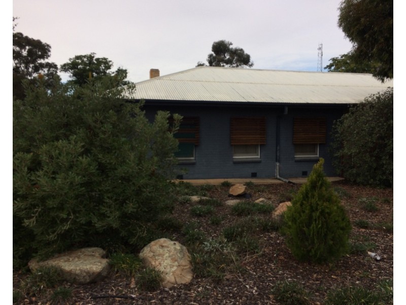 59 Coral Street, Loxton SA 5333