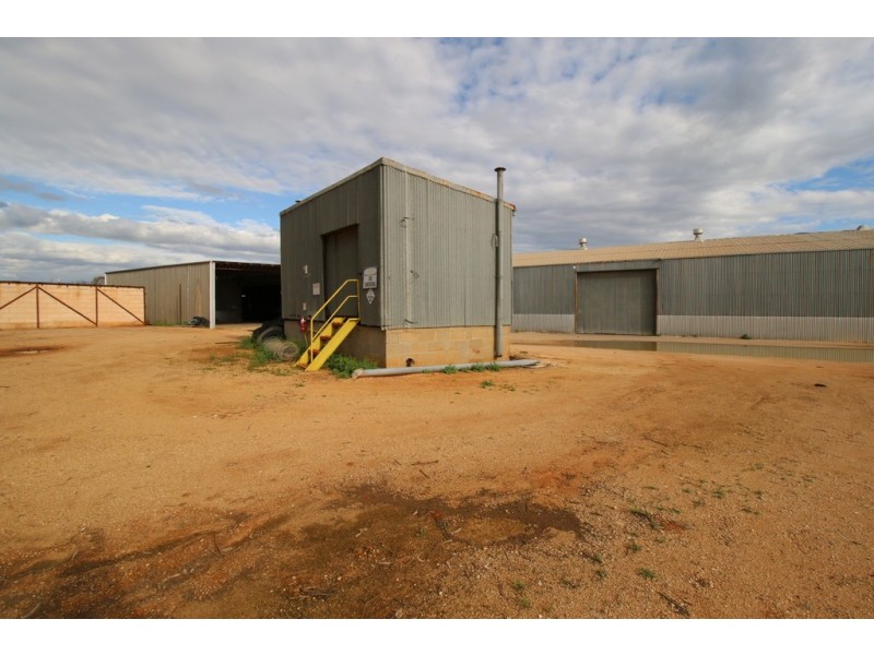 927 Old Sturt Highway, Berri SA 5343