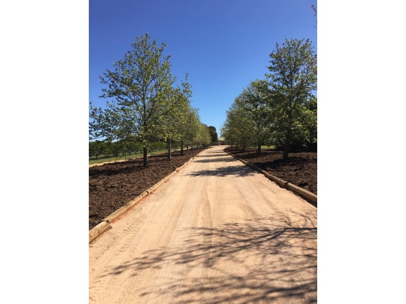 1662 Bookpurnong Road, Loxton SA 5333