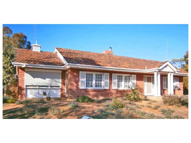 5 Matthews Street, Waikerie SA 5330