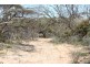 Section 13 Hundred of Billiatt, Alawoona SA 5311