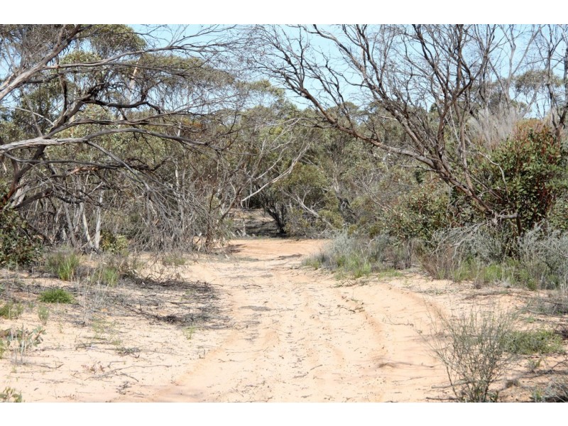 Section 13 Hundred of Billiatt, Alawoona SA 5311