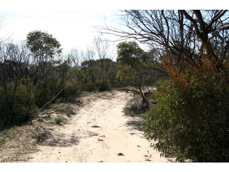 Section 13 Hundred of Billiatt, Alawoona SA 5311