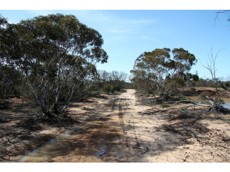 Section 13 Hundred of Billiatt, Alawoona SA 5311