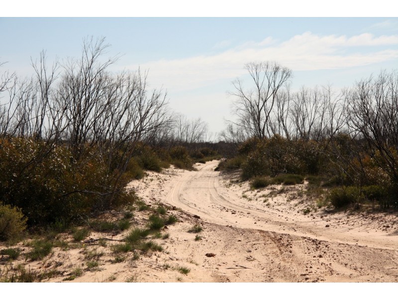 Section 13 Hundred of Billiatt, Alawoona SA 5311