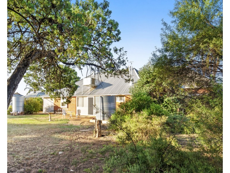 41 Thirteenth Street, Renmark SA 5341
