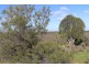 3 GOVT ROAD, Sunlands SA 5322