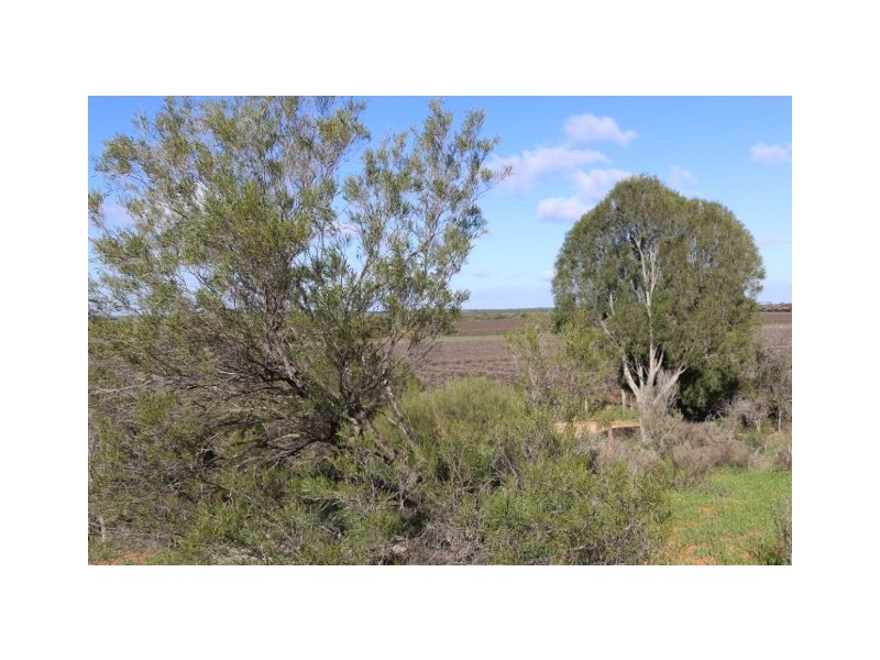 3 GOVT ROAD, Sunlands SA 5322