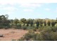 3 GOVT ROAD, Sunlands SA 5322