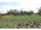 3 GOVT ROAD, Sunlands SA 5322