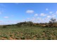3 GOVT ROAD, Sunlands SA 5322