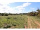 3 GOVT ROAD, Sunlands SA 5322