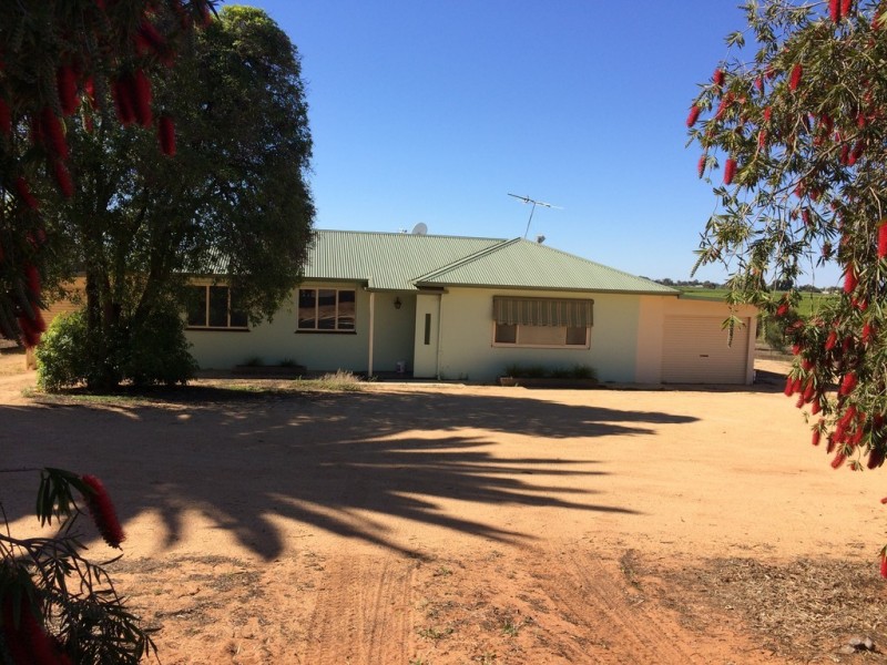 61 Gordon Road, Loxton North SA 5333