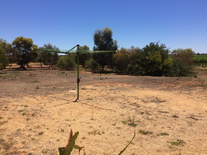 61 Gordon Road, Loxton North SA 5333