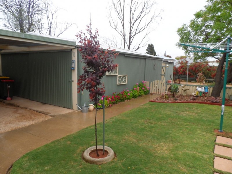 16 Eringa Avenue, Loxton SA 5333