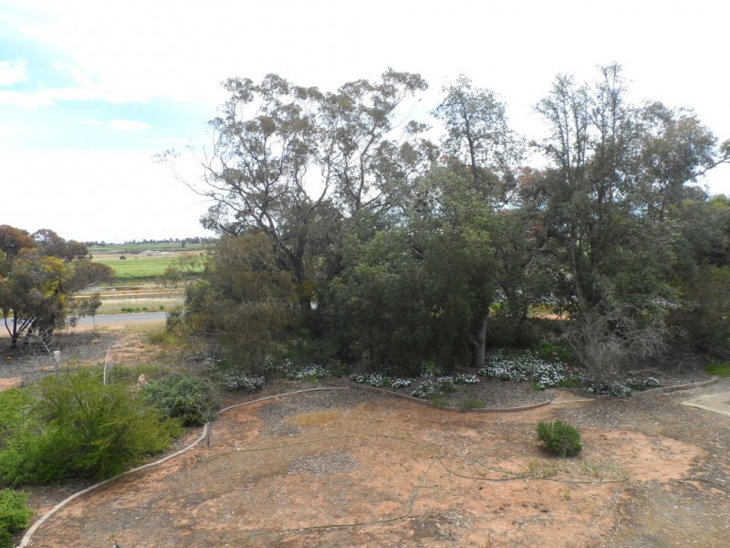 4 Bullwinkle Rd, Loxton North SA 5333