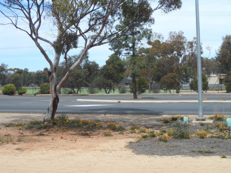 2 Tanko Crescent, Loxton SA 5333