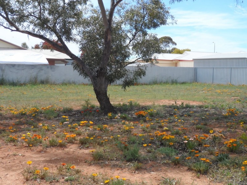 2 Tanko Crescent, Loxton SA 5333