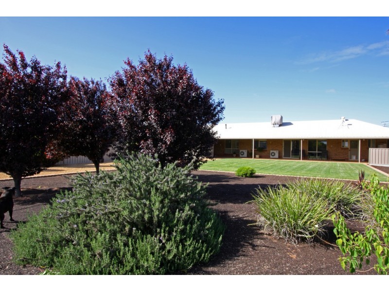 85 Badcoe Rd, Loxton SA 5333