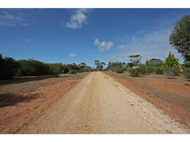 85 Badcoe Rd, Loxton SA 5333