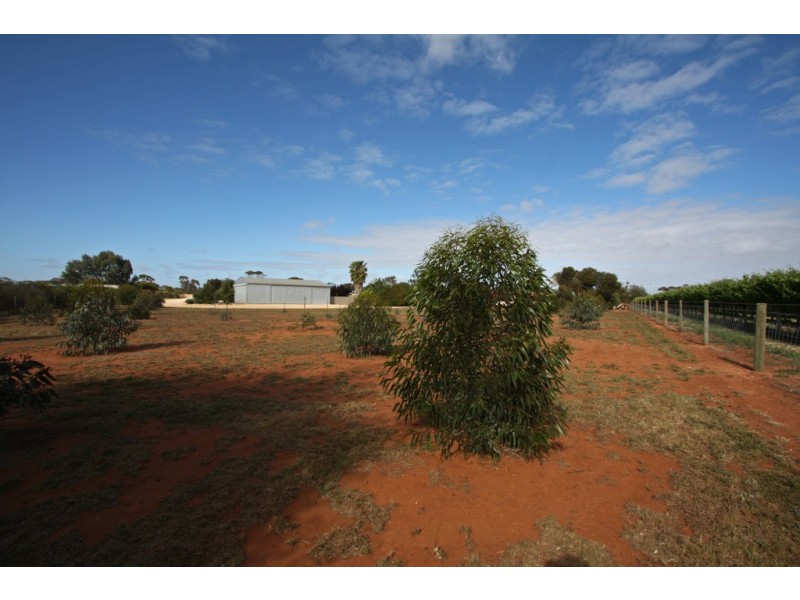 85 Badcoe Rd, Loxton SA 5333