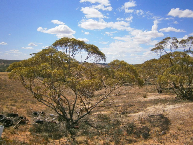 Lot 30 Kuchel Road, Waikerie SA 5330