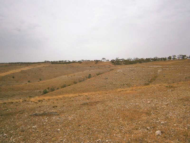 Lot 30 Kuchel Road, Waikerie SA 5330