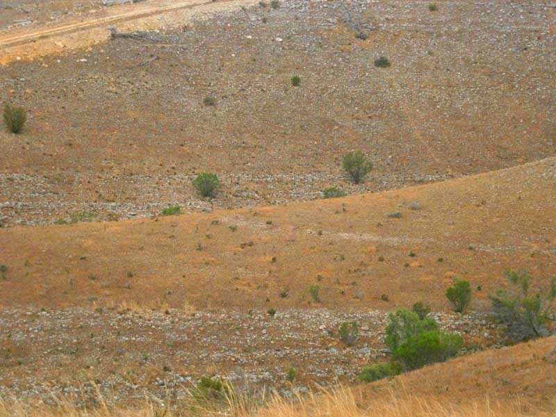 Lot 30 Kuchel Road, Waikerie SA 5330