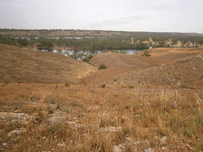 Lot 30 Kuchel Road, Waikerie SA 5330