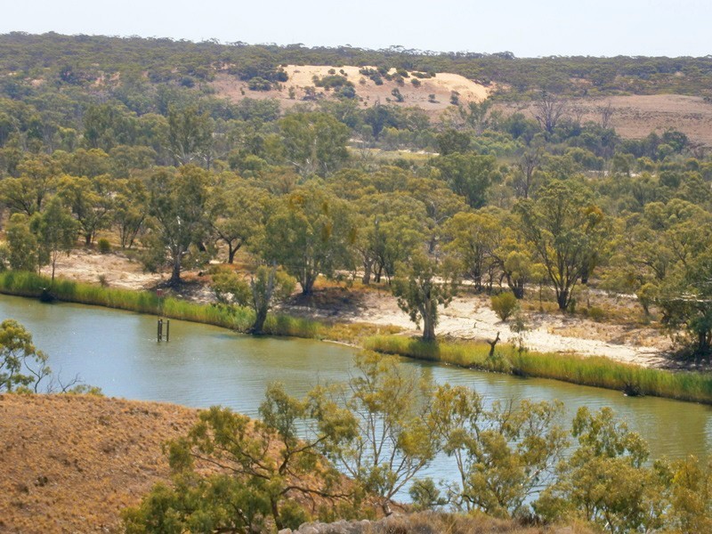 Lot 31 Sturt Highway, Waikerie SA 5330