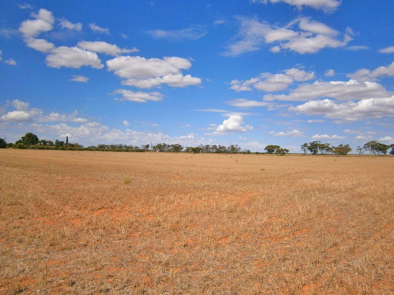 Lot 31 Sturt Highway, Waikerie SA 5330