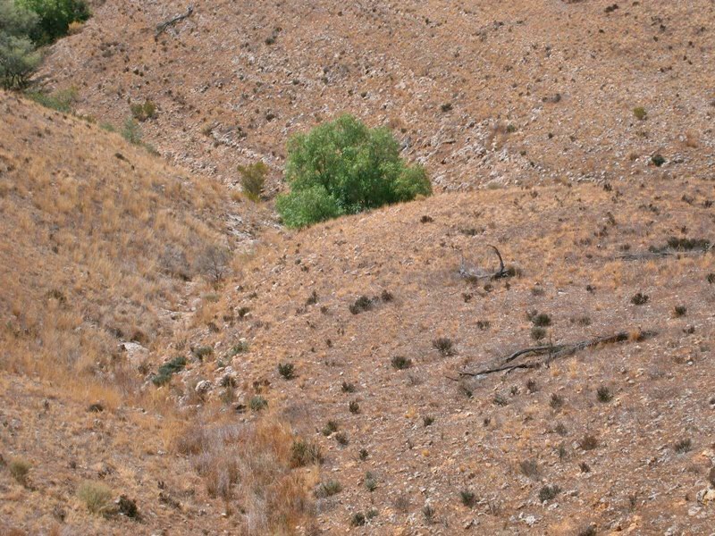 Lot 31 Sturt Highway, Waikerie SA 5330