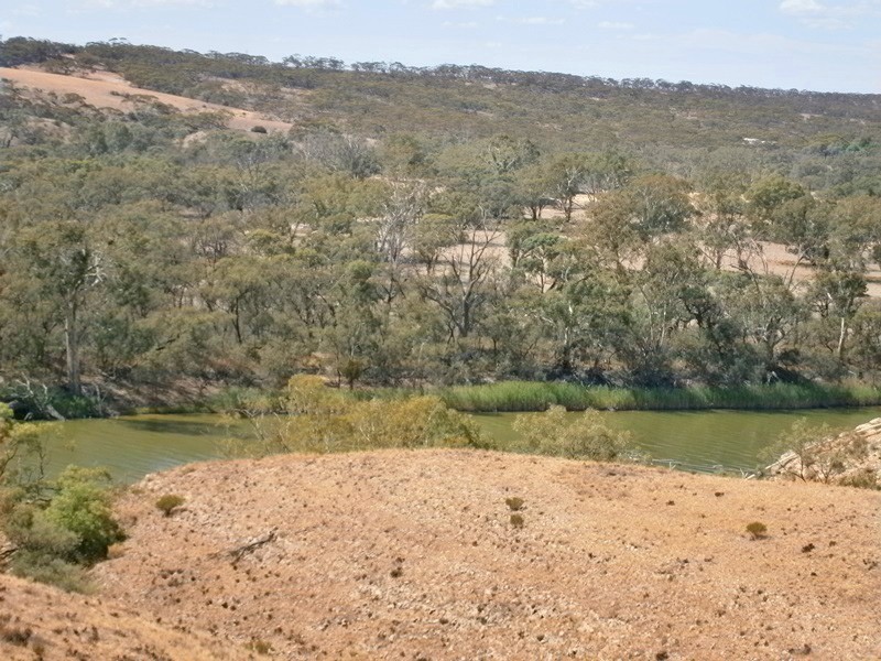 Lot 31 Sturt Highway, Waikerie SA 5330