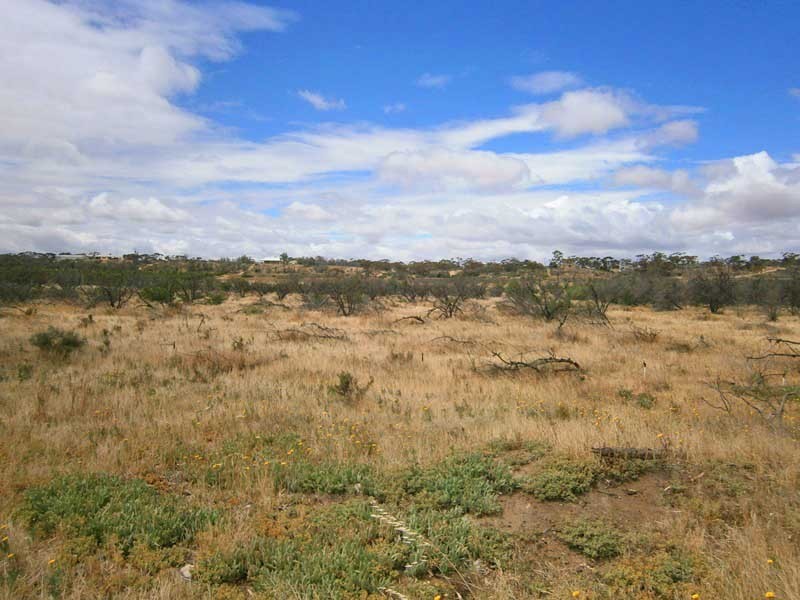Lot 31 Sturt Highway, Waikerie SA 5330