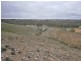 Lot 31 Sturt Highway, Waikerie SA 5330