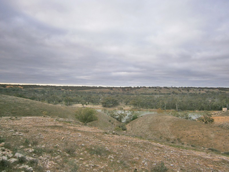 Lot 31 Sturt Highway, Waikerie SA 5330